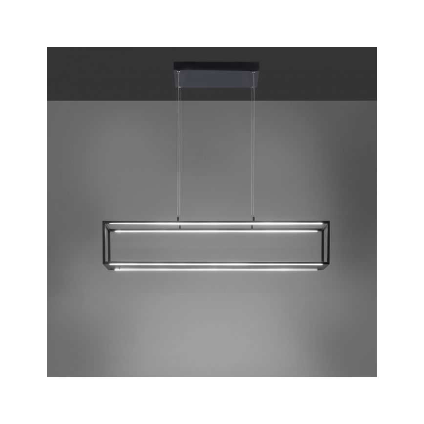 Paul Neuhaus 2441-18 - LED Stmívatelný lustr na lanku CONTURA 4xLED/8W/230V