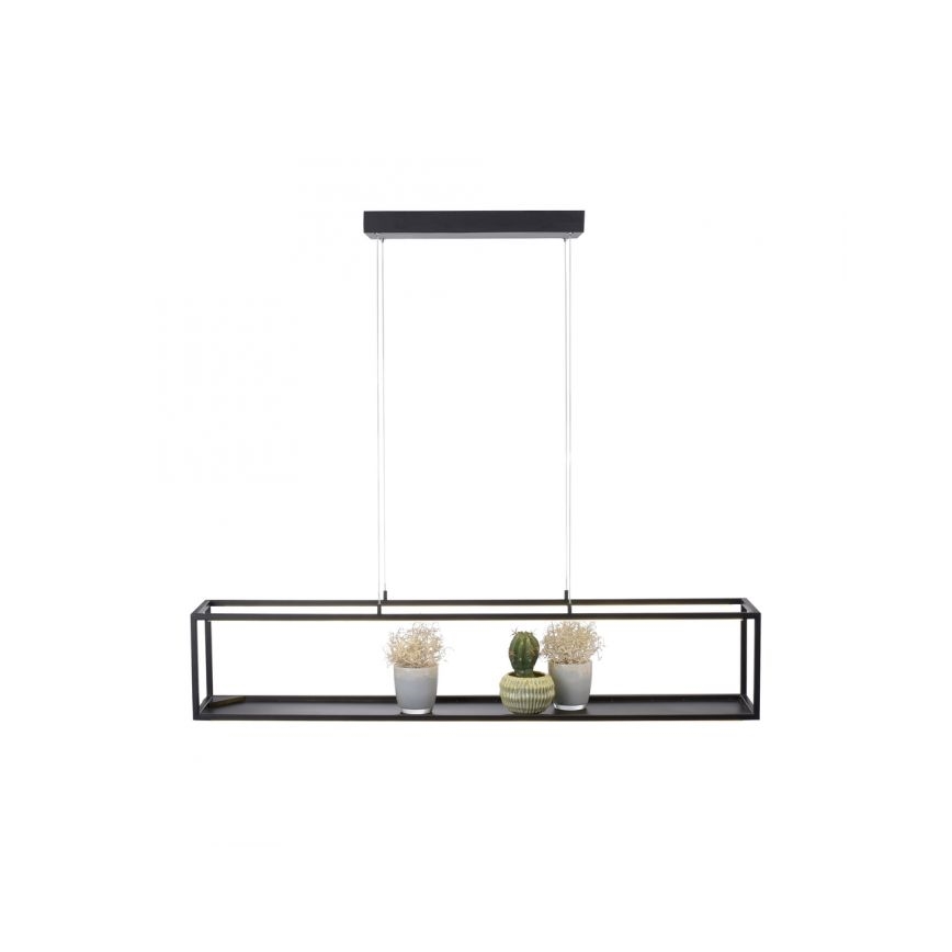 Paul Neuhaus 2441-18 - LED Stmívatelný lustr na lanku CONTURA 4xLED/8W/230V