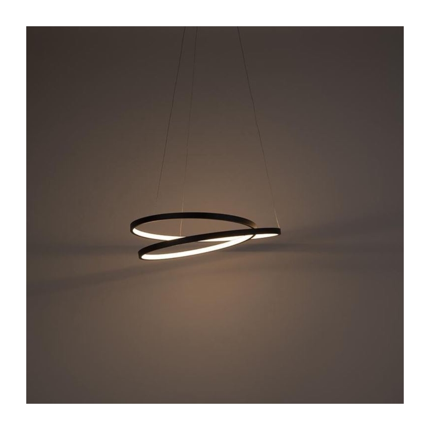 Paul Neuhaus 2472-18 - LED Stmívatelný lustr na lanku ROMAN LED/30W/230V černá