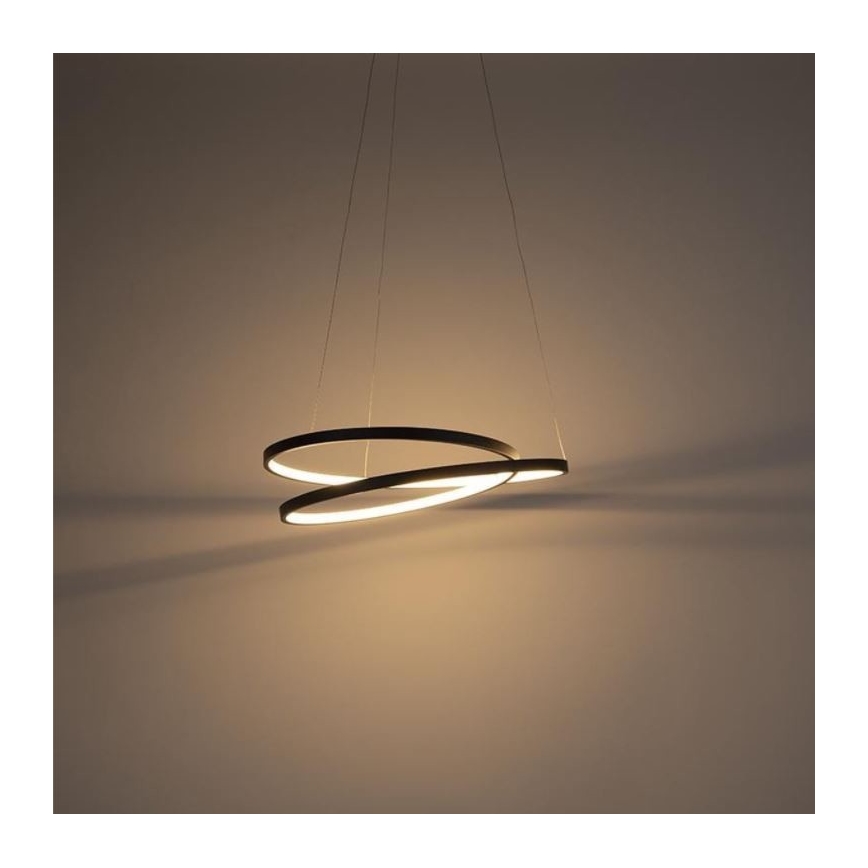 Paul Neuhaus 2472-18 - LED Stmívatelný lustr na lanku ROMAN LED/30W/230V černá