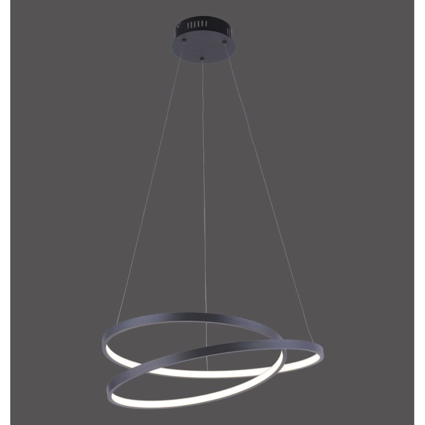 Paul Neuhaus 2472-18 - LED Stmívatelný lustr na lanku ROMAN LED/30W/230V černá