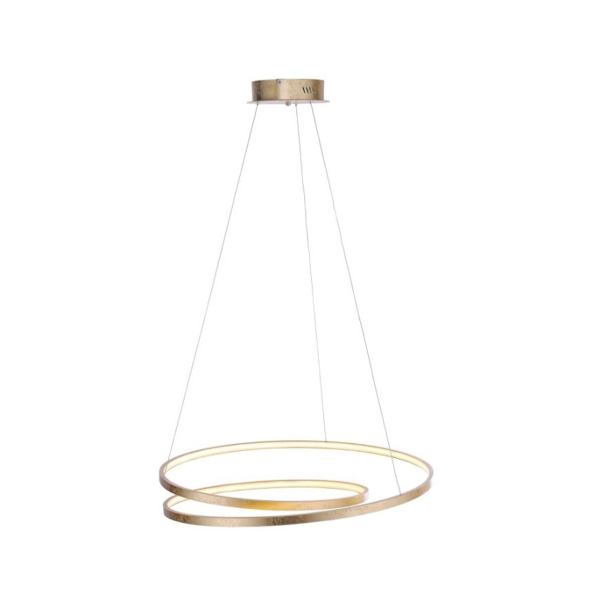 Paul Neuhaus 2474-12 - LED Stmívatelný lustr na lanku ROMAN LED/40W/230V zlatá
