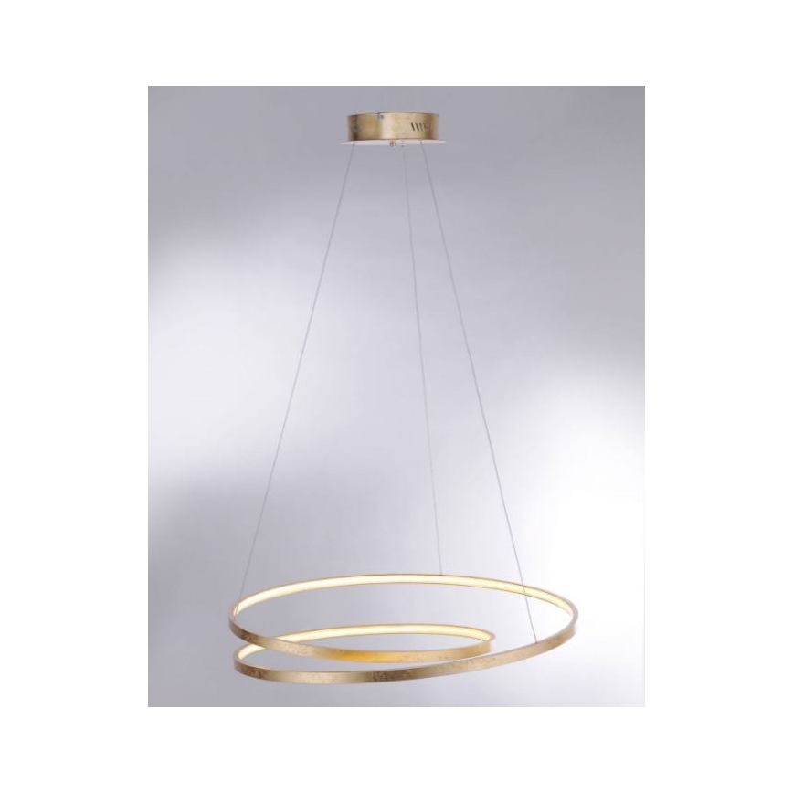 Paul Neuhaus 2474-12 - LED Stmívatelný lustr na lanku ROMAN LED/40W/230V zlatá