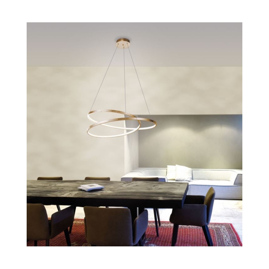 Paul Neuhaus 2474-12 - LED Stmívatelný lustr na lanku ROMAN LED/40W/230V zlatá