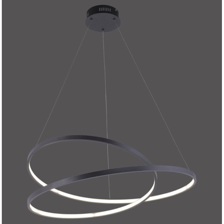 Paul Neuhaus 2474-18 - LED Stmívatelný lustr na lanku ROMAN LED/40W/230V černá