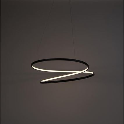 Paul Neuhaus 2474-18 - LED Stmívatelný lustr na lanku ROMAN LED/40W/230V černá