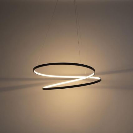 Paul Neuhaus 2474-18 - LED Stmívatelný lustr na lanku ROMAN LED/40W/230V černá