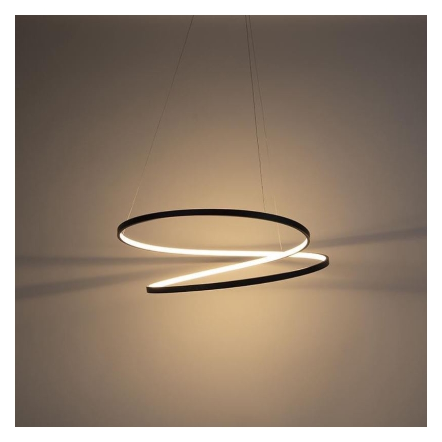 Paul Neuhaus 2474-18 - LED Stmívatelný lustr na lanku ROMAN LED/40W/230V černá