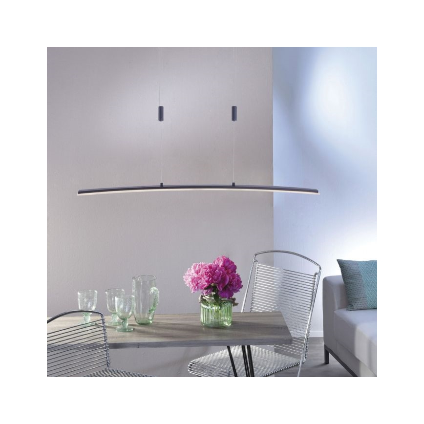 Paul Neuhaus 2530-13 - LED Stmívatelný lustr na lanku JANINA LED/27W/230V