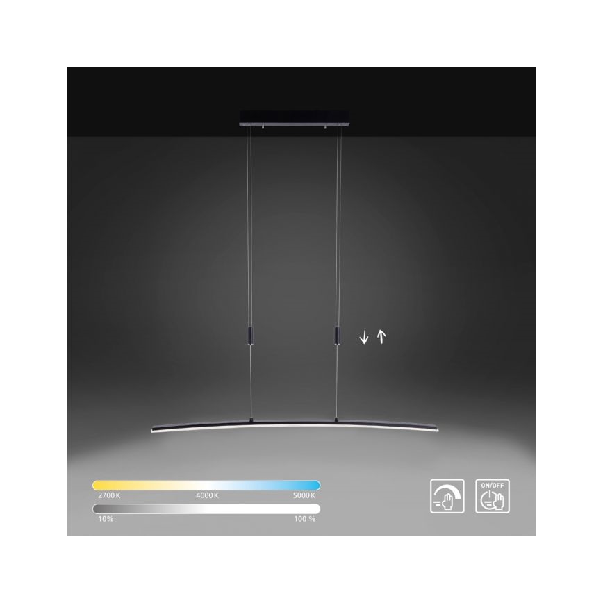 Paul Neuhaus 2530-13 - LED Stmívatelný lustr na lanku JANINA LED/27W/230V