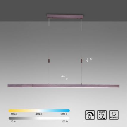 Paul Neuhaus 2568-24 - LED Stmívatelný lustr na lanku ADRIANA LED/14W/230V 2700-5000K