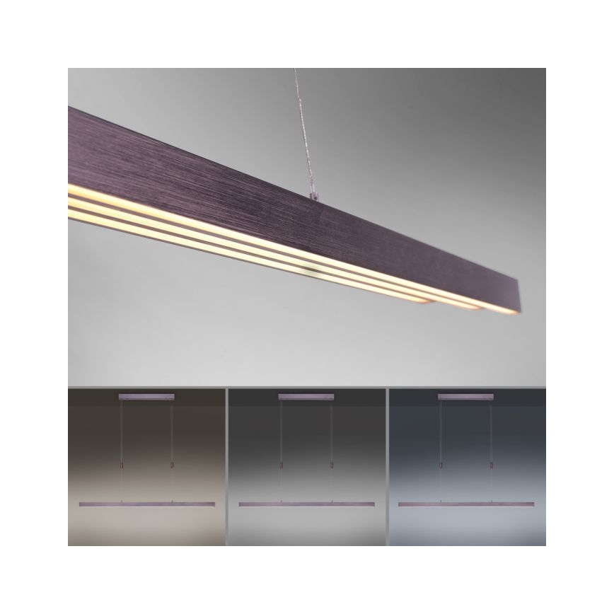 Paul Neuhaus 2568-24 - LED Stmívatelný lustr na lanku ADRIANA LED/14W/230V 2700-5000K