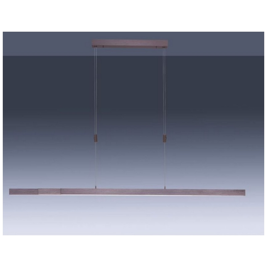 Paul Neuhaus 2568-24 - LED Stmívatelný lustr na lanku ADRIANA LED/14W/230V 2700-5000K