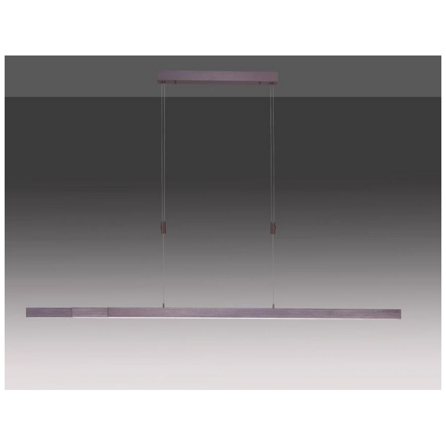 Paul Neuhaus 2568-24 - LED Stmívatelný lustr na lanku ADRIANA LED/14W/230V 2700-5000K