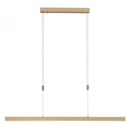 Paul Neuhaus 2568-60 - LED Stmívatelný lustr na lanku ADRIANA LED/14W/230V  2700-5000K mosaz