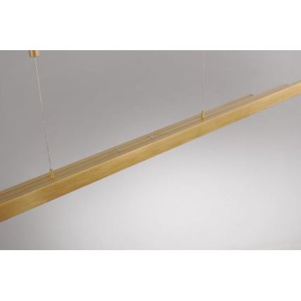 Paul Neuhaus 2568-60 - LED Stmívatelný lustr na lanku ADRIANA LED/14W/230V  2700-5000K mosaz