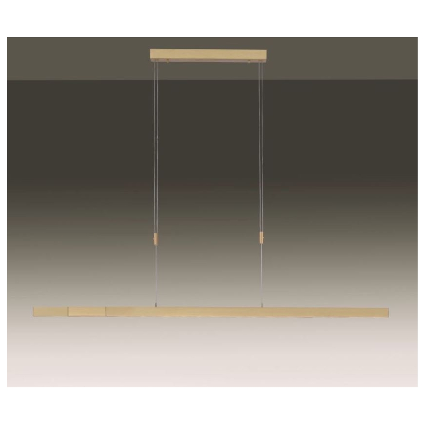 Paul Neuhaus 2568-60 - LED Stmívatelný lustr na lanku ADRIANA LED/14W/230V  2700-5000K mosaz