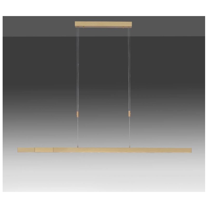 Paul Neuhaus 2568-60 - LED Stmívatelný lustr na lanku ADRIANA LED/14W/230V  2700-5000K mosaz