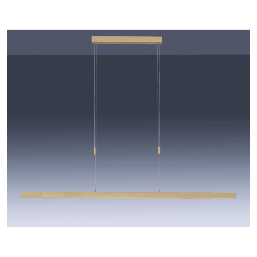 Paul Neuhaus 2568-60 - LED Stmívatelný lustr na lanku ADRIANA LED/14W/230V  2700-5000K mosaz