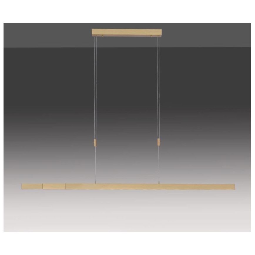 Paul Neuhaus 2568-60 - LED Stmívatelný lustr na lanku ADRIANA LED/14W/230V  2700-5000K mosaz