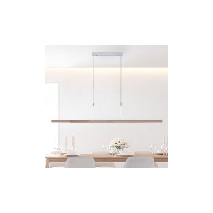 Paul Neuhaus 2568-78 - LED Stmívatelný lustr na lanku ADRIANA LED/14W/230V 2700-5000K