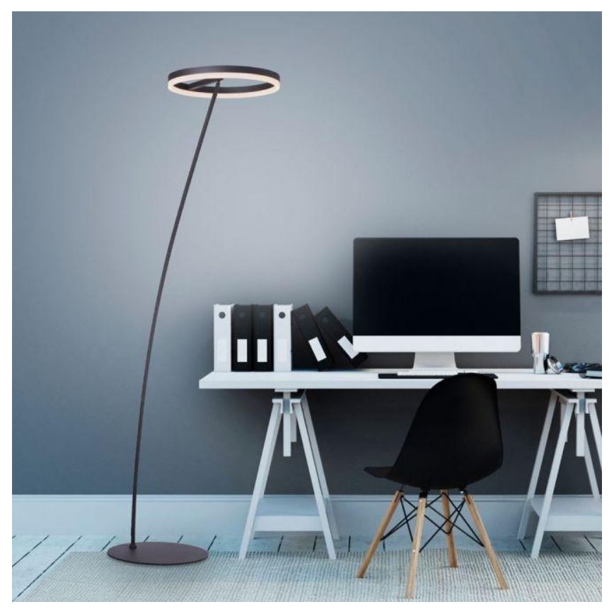 Paul Neuhaus 381-13 - LED Stmívatelná stojací lampa TITUS LED/19,5W/230V