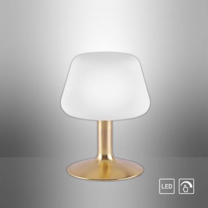 Paul Neuhaus 4078-60 - LED Stmívatelná dotyková stolní lampa TILL 1xG9/3W/230V mosaz