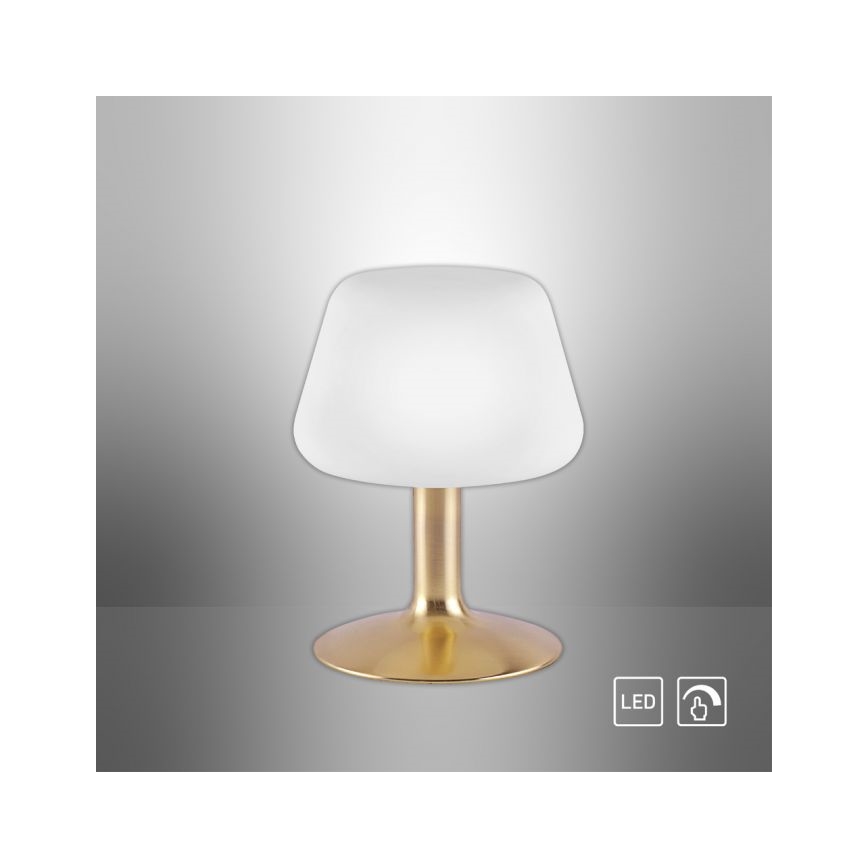 Paul Neuhaus 4078-60 - LED Stmívatelná dotyková stolní lampa TILL 1xG9/3W/230V mosaz