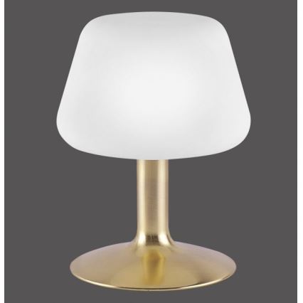 Paul Neuhaus 4078-60 - LED Stmívatelná dotyková stolní lampa TILL 1xG9/3W/230V mosaz