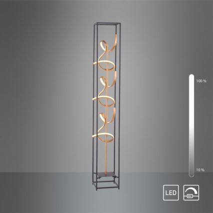 Paul Neuhaus 415-18 - LED Stmívatelná stojací lampa SELINA 3xLED/10,2W/230V