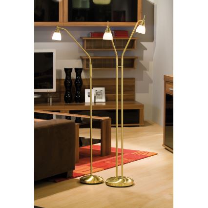 Paul Neuhaus 430-60 - Stmívatelná dotyková stojací lampa PINO 1xG9/28W/230V zlatá