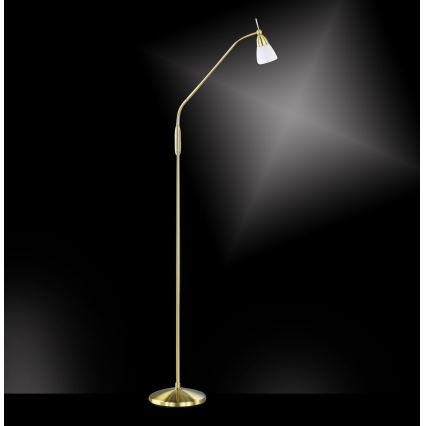 Paul Neuhaus 430-60 - Stmívatelná dotyková stojací lampa PINO 1xG9/28W/230V zlatá