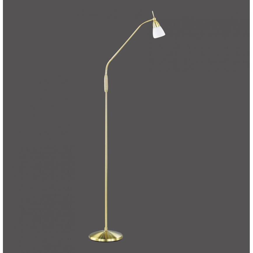 Paul Neuhaus 430-60 - Stmívatelná dotyková stojací lampa PINO 1xG9/28W/230V zlatá