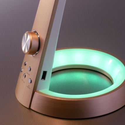 Paul Neuhaus 4591-60 - LED RGB Stmívatelná stolní lampa BILL LED/5,7W/230V 3000-6500K USB + LED/1,6W mosaz
