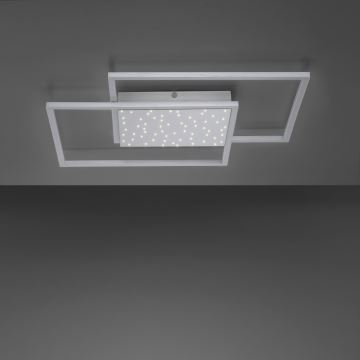 Paul Neuhaus 6024-55 - LED Stmívatelný přisazený lustr YUKI LED/49W/230V + dálkové ovládání