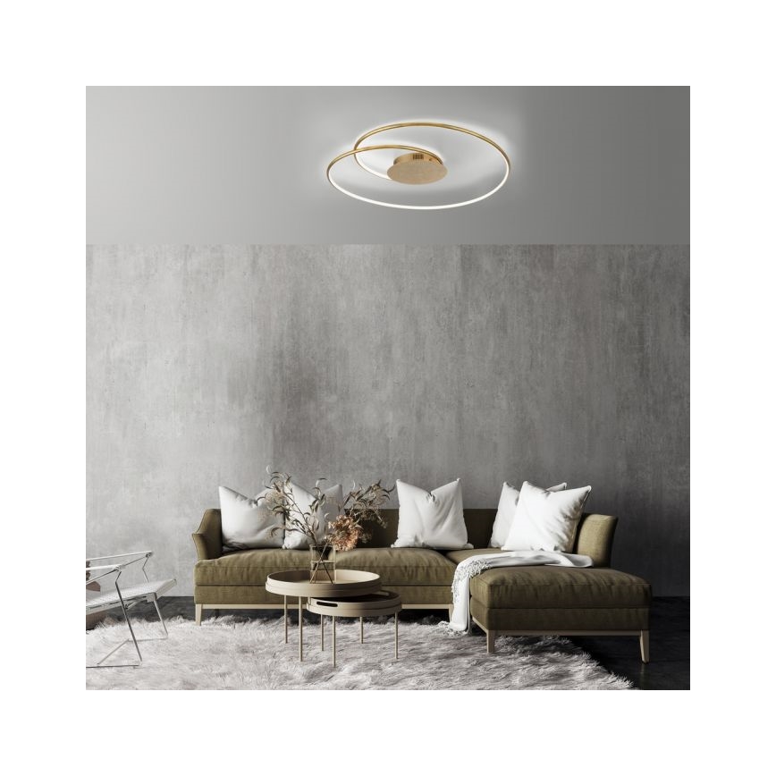 Paul Neuhaus 6189-12 - LED Stmívatelné stropní svítidlo NASTRO LED/26W/230V