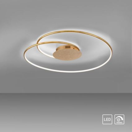 Paul Neuhaus 6189-12 - LED Stmívatelné stropní svítidlo NASTRO LED/26W/230V