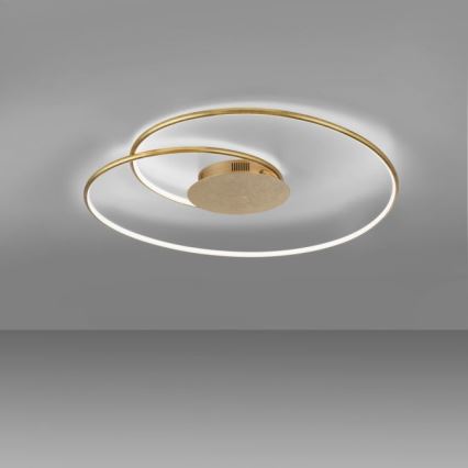 Paul Neuhaus 6189-12 - LED Stmívatelné stropní svítidlo NASTRO LED/26W/230V