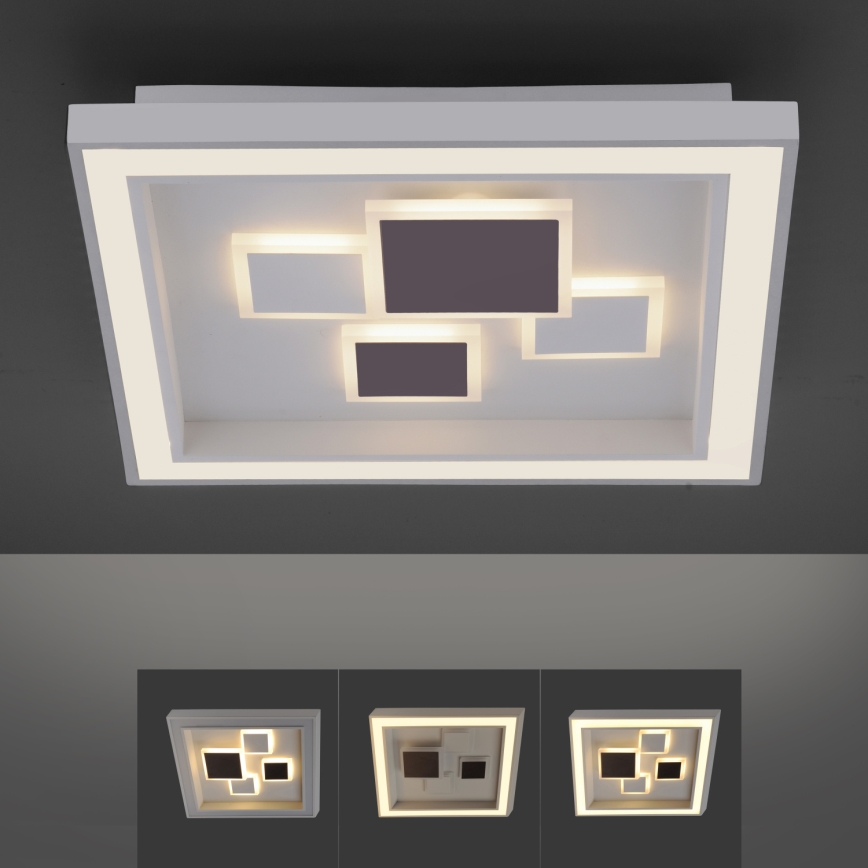 Paul Neuhaus 6283-16 - LED Stmívatelné stropní svítidlo ELIZA LED/30W/230V + LED/18,5W