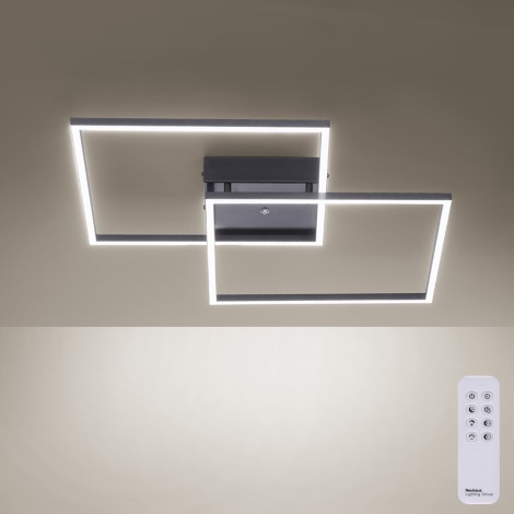 Paul Neuhaus 6437-18 - LED Stmívatelný přisazený lustr INIGO s dálkovým ovladačem 2xLED/12,5W/230V