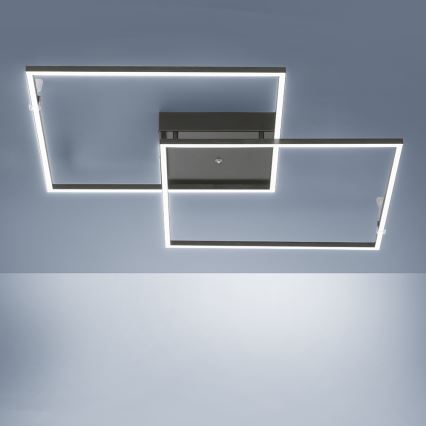 Paul Neuhaus 6438-18 - LED Stmívatelný přisazený lustr INIGO s dálkovým ovladačem 2xLED/21W/230V