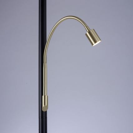 Paul Neuhaus 646-18 - LED Stmívatelná stojací lampa ROBIN 1xE27/40W/230V + LED/2,1W černá