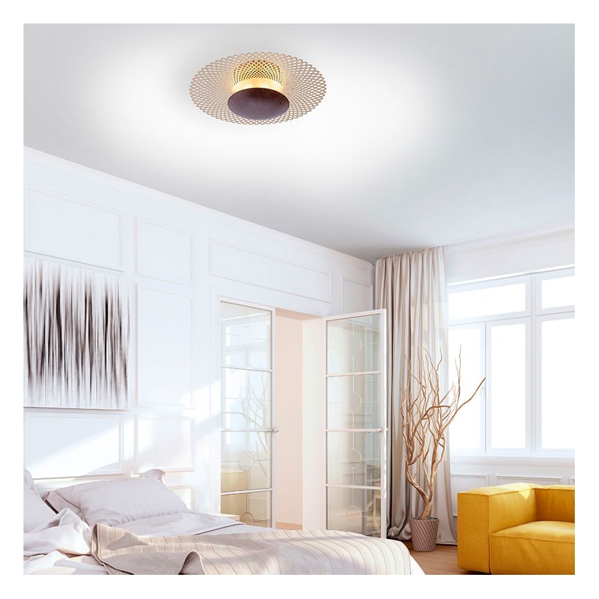 Paul Neuhaus 6551-48 - LED Stmívatelné stropní svítidlo NEVIS LED/18W/230V
