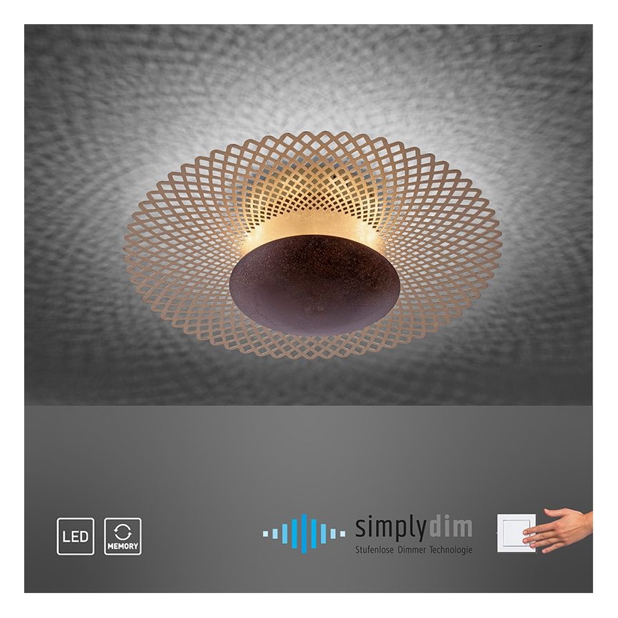 Paul Neuhaus 6551-48 - LED Stmívatelné stropní svítidlo NEVIS LED/18W/230V