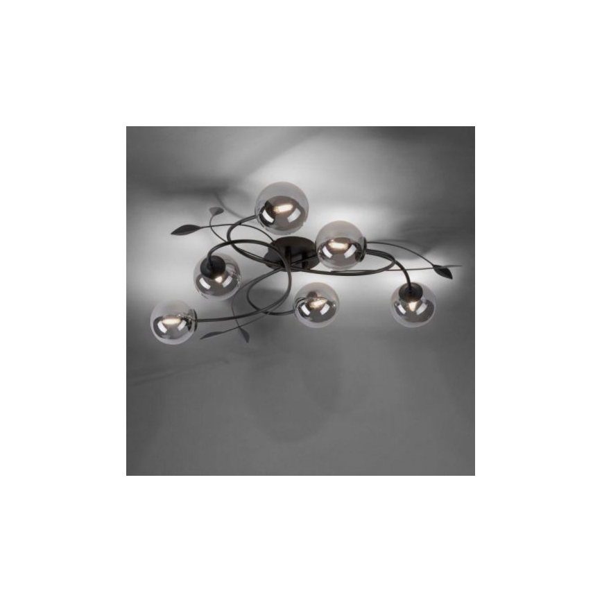 Paul Neuhaus 6737-18 - LED Přisazený lustr WIDOW 6xG9/3W/230V