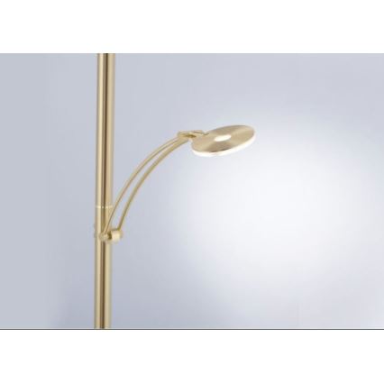 Paul Neuhaus 680-60 - LED Stmívatelná stojací lampa MARTIN LED/40W/230V + LED/6W
