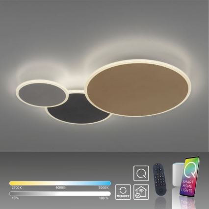 Paul Neuhaus 8007-70 - LED Stmívatelné stropní svítidlo Q-PIATO LED/35W/230V 2700-5000K Wi-Fi + dálkové ovládání