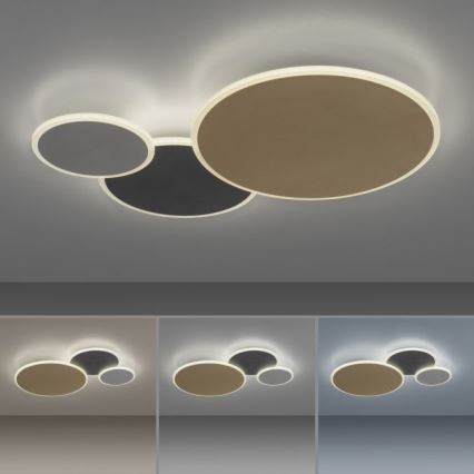 Paul Neuhaus 8007-70 - LED Stmívatelné stropní svítidlo Q-PIATO LED/35W/230V 2700-5000K Wi-Fi + dálkové ovládání