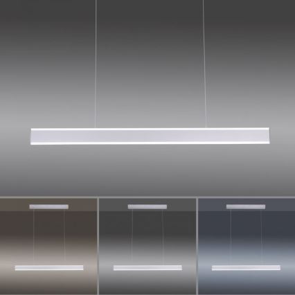 Paul Neuhaus 8363-55 - LED Stmívatelný lustr na lanku se senzorem ARINA LED/20W/230V