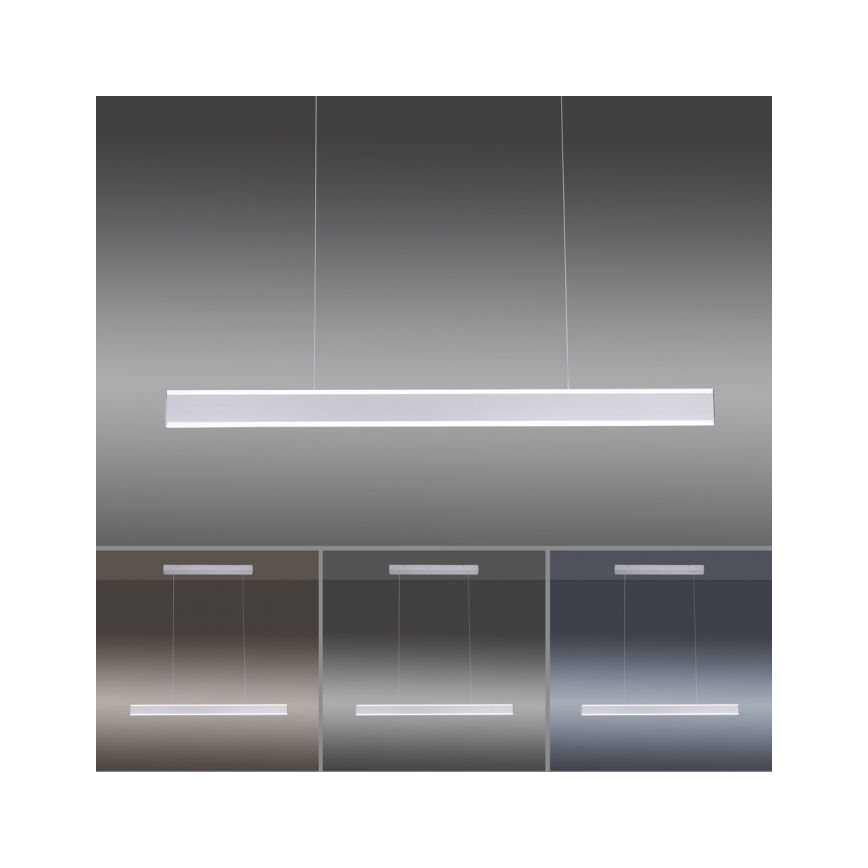 Paul Neuhaus 8363-55 - LED Stmívatelný lustr na lanku se senzorem ARINA LED/20W/230V